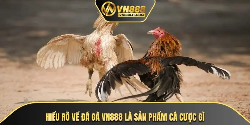 Hiểu rõ về đá gà VN888 là sản phẩm cá cược gì