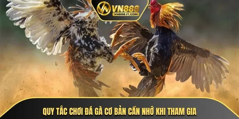 Quy tắc chơi đá gà cơ bản cần nhớ khi tham gia