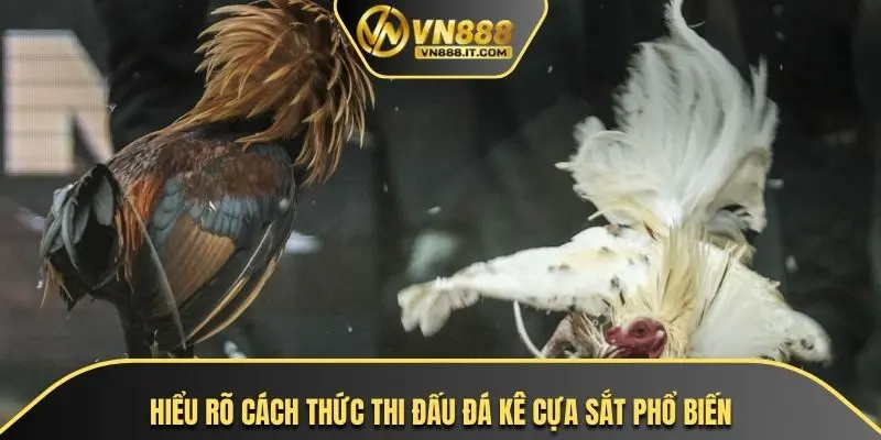 Hiểu rõ cách thức thi đấu đá kê cựa sắt phổ biến