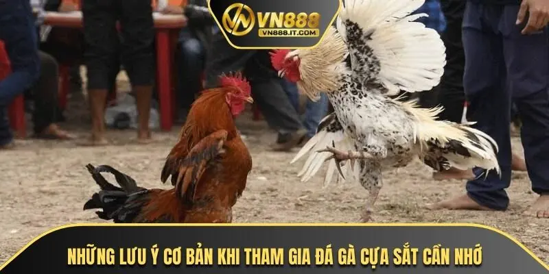 Những lưu ý cơ bản khi tham gia đá gà cựa sắt cần nhớ